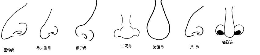Ϭ 
