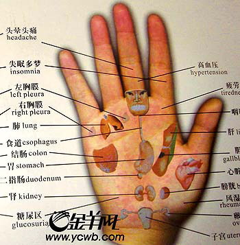 刘剑锋手诊图